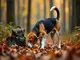 der-beagle-als-jagdhund-ein-allrounder-fuer-die-jagd